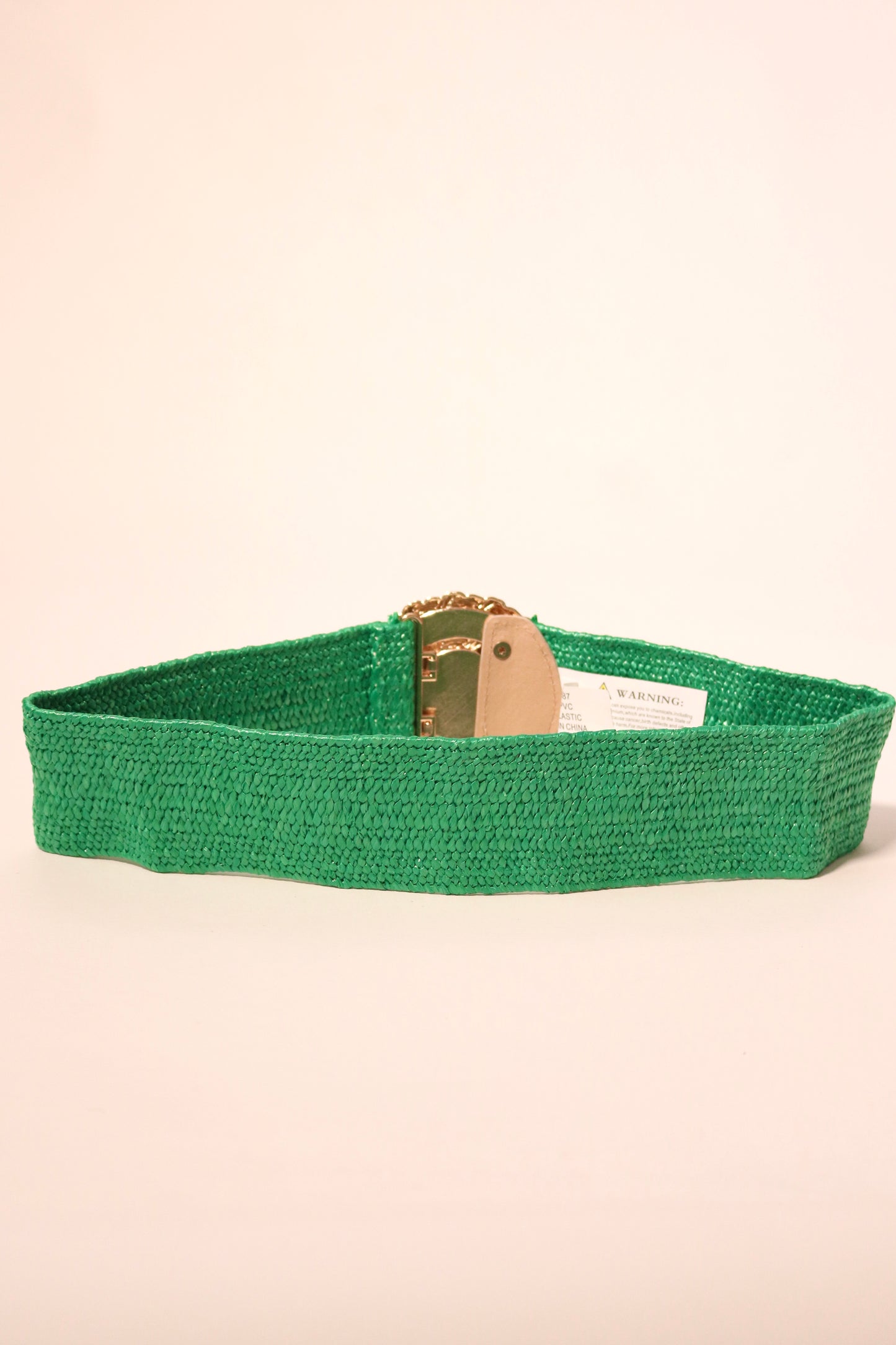 Gold Buckle Rafia Stretch Belt